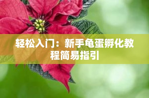 轻松入门：新手龟蛋孵化教程简易指引