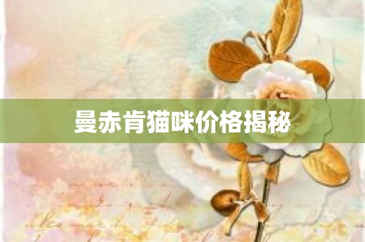 曼赤肯猫咪价格揭秘