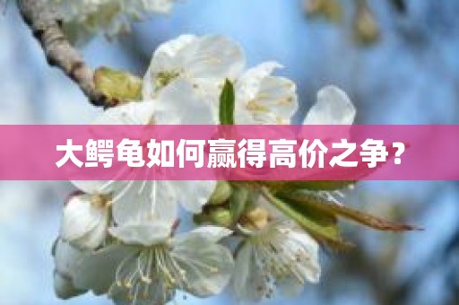 大鳄龟如何赢得高价之争？