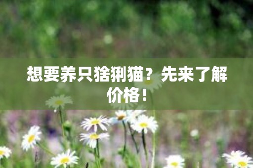 想要养只猞猁猫？先来了解价格！