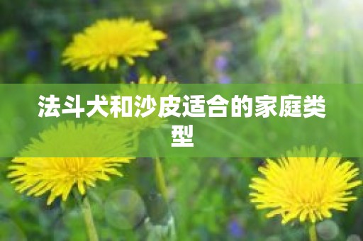 法斗犬和沙皮适合的家庭类型