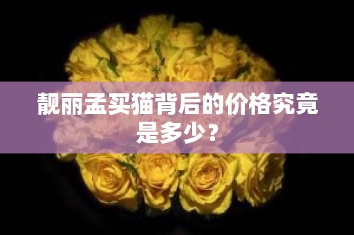 靓丽孟买猫背后的价格究竟是多少？