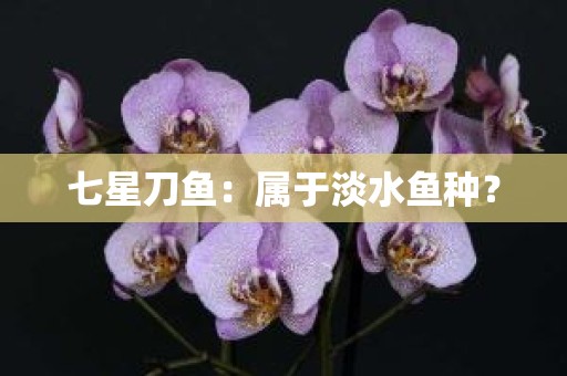 七星刀鱼：属于淡水鱼种？