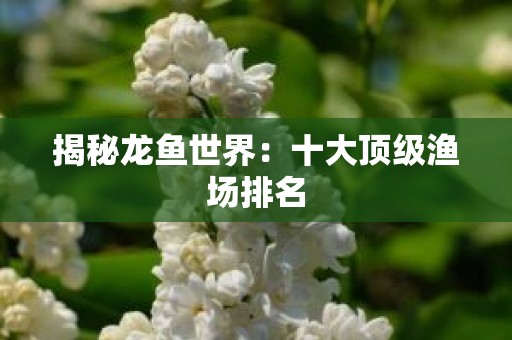 揭秘龙鱼世界：十大顶级渔场排名