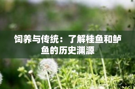 饲养与传统：了解桂鱼和鲈鱼的历史渊源