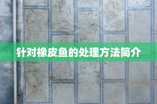 针对橡皮鱼的处理方法简介