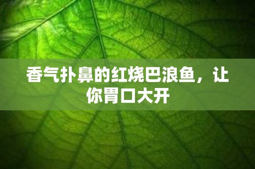 香气扑鼻的红烧巴浪鱼，让你胃口大开