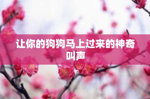 让你的狗狗马上过来的神奇叫声