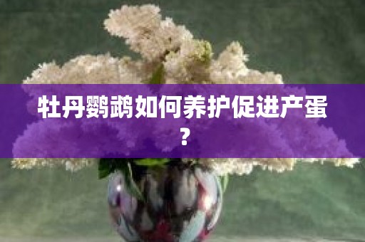 牡丹鹦鹉如何养护促进产蛋？