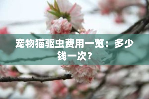 宠物猫驱虫费用一览：多少钱一次？