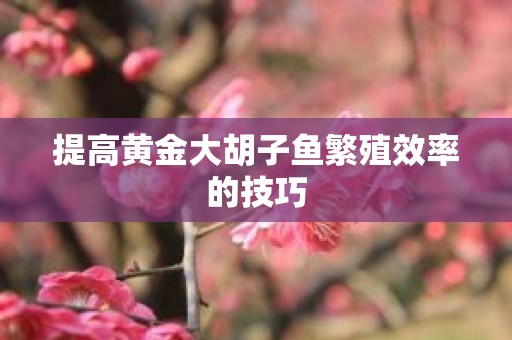 提高黄金大胡子鱼繁殖效率的技巧