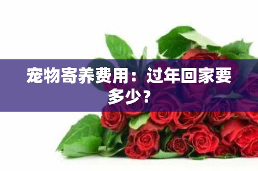 宠物寄养费用：过年回家要多少？