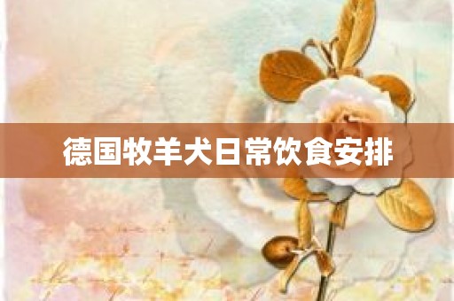 德国牧羊犬日常饮食安排