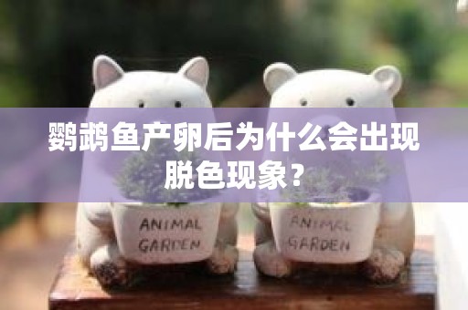 鹦鹉鱼产卵后为什么会出现脱色现象？