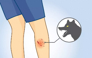 被猫抓了一道印子浮起来了（猫抓了一条红印子怎么办）