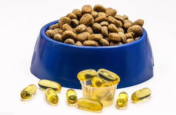 宠物鱼油的正确服用方法（宠物鱼油的正确服用方法和用量）