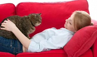 猫爪含有狂犬病的几率（猫爪子携带狂犬病的几率大吗）