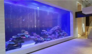 观赏鱼缸生产厂家（鱼缸制造厂有几家）