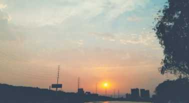 鸟的来历（苦熬鸟的来历）