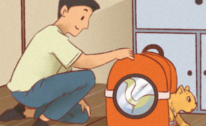 国际小猫日是什么（猫小报介绍）