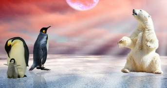 企鹅是鸟类吗?（企鹅是鸟类吗?为什么?）