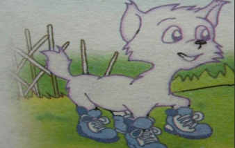 小猫咪穿鞋子的故事（小猫咪穿鞋子讲什么故事）