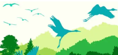 宣传保护鸟类的宣传语（宣传保护鸟类的宣传语有哪些）