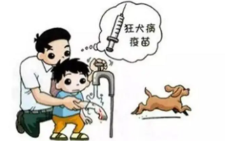 狂犬病潜伏期多长时间长达20年（狂犬病潜伏期多长时间长达20年那这么办）