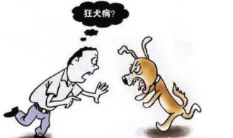 狂犬病潜伏期最长多长时间（狗咬了二十多年潜伏期过了吗）
