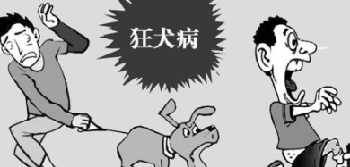 一般被猫狗咬伤狂犬病潜伏期多长时间（被猫咬狂犬病潜伏期多久）