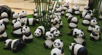 国际熊猫日（国际熊猫节）