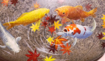 适合北方养的鱼 冷水鱼（冷水鱼哪种鱼比较漂亮）