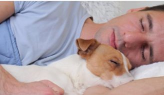 狗可以和人睡一个房间吗（狗狗到底能不能跟人睡）