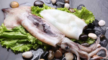 乌贼、鱿鱼和章鱼的区别是什么（乌贼和章鱼和鱿鱼的区别在哪）