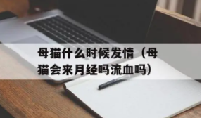 猫来月经多久一次算正常（10岁来月经算正常吗）