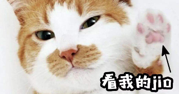 猫身上湿是出汗了吗（可以用湿巾给猫咪擦身体吗）