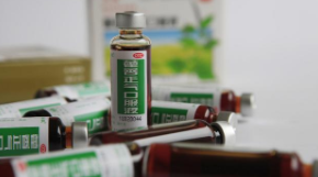 藿香正气液对小鼠胃肠活动的影响（小鼠胃胀气是什么原因）