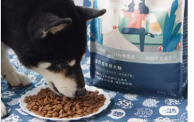 宠物食品品牌排行榜前十名（宠物食品国内品牌排行榜）