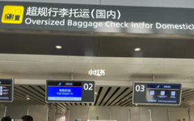 南航宠物托运流程（南航宠物托运流程及费用）