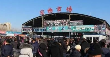 北京宠物市场有哪几个地方（北京哪有大型宠物市场）