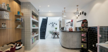 宠物店装修（宠物店装修照片简约风）