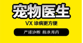 宠物医生咨询在线24小时免费（宠物医生咨询在线24小时免费咨询）