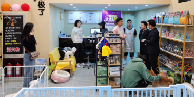 宠物店加盟要多少钱（宠物店加盟需要注意哪些坑）