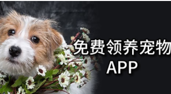 免费领养宠物的平台有哪些（免费领养宠物的平台有哪些）