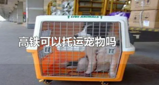 火车托运宠物如何办理（火车宠物托运怎么办理）