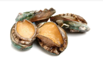 鲍鱼属于什么类目（鲍鱼属于哪类海鲜）