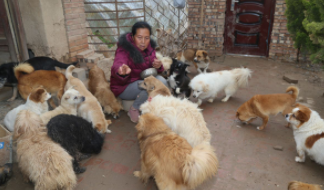 上海宠物市场排名（上海比较大的宠物市场）