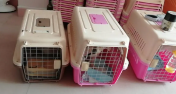 宠物托运哪个平台好一点（宠物托运哪个平台好一点啊）