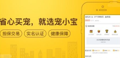 宠物交易平台有哪些（宠物交易的平台）