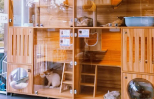 宠物店寄养宠物多少钱一天（宠物店寄养宠物多少钱一天湖北）